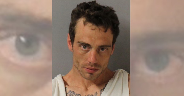 Brentwood man crashes stolen car, admits responsibility for “anything that happened”