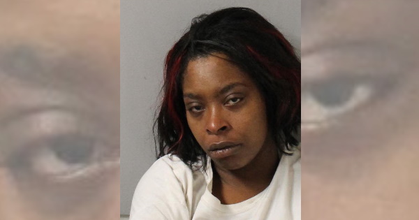 South Nashville woman charged after throwing things, giving man goose egg on his head