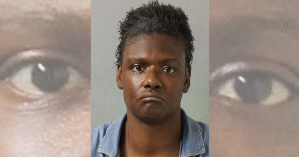 Woman charged for pulling knife on roommate over argument about smoking in the house