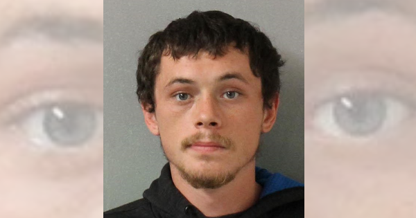 Joelton man charged after pushing his sister and putting her in a headlock, per report