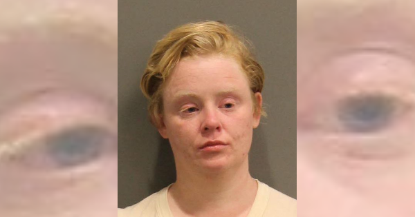 Springfield woman charged with public intox and disorderly after screaming at officers