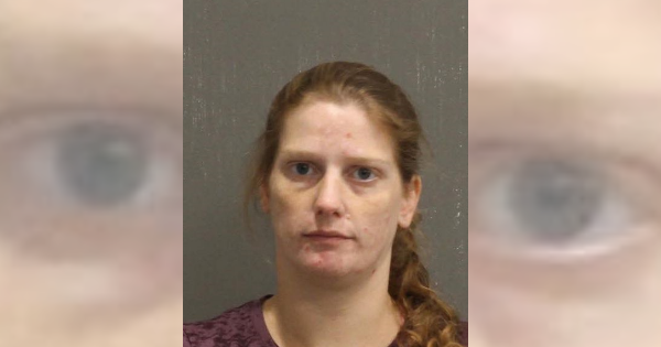 Year-long string of crimes ends with woman catching umpteenth charge for shoplifting