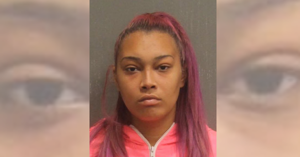 Woman attempts to run over boyfriend with his own vehicle multiple times
