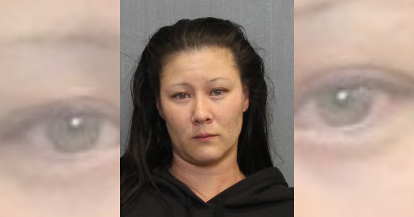 Woman charged with domestic assault after man says she ripped his dreadlock out