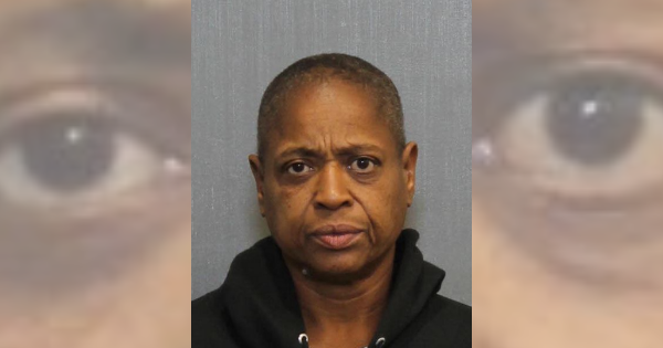 Woman charged after hitting mother in head with fist and pushing her to ground, per report